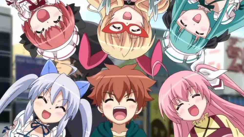 Weiss Survive Season 1-2 Batch Subtitle Indonesia